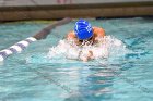 Swimming & Diving vs Babson  Swimming & Diving vs Babson College. - Photo by Keith Nordstrom : Wheaton, Swimming